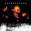 Superunknown cover