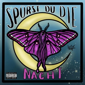 Spürst du die Nacht