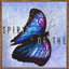 Spirit of The Butterfly cover