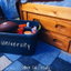 University cover