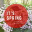 It's Spring cover