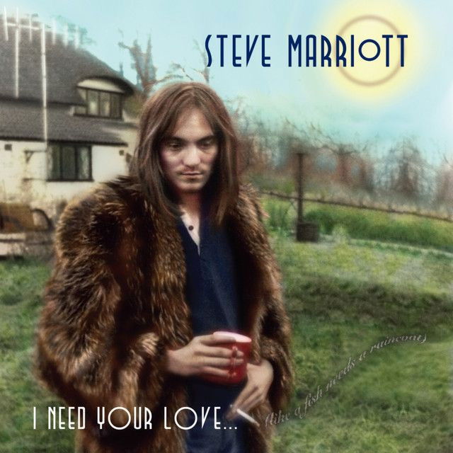 Steve Marriott profile