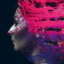 Ancestral cover