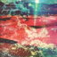 The Trip cover