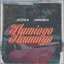 Flamingo cover