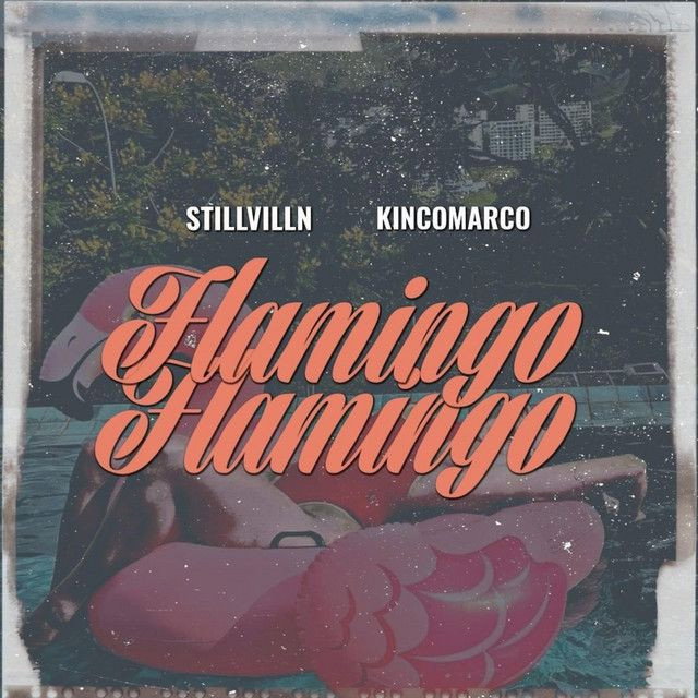 Flamingo