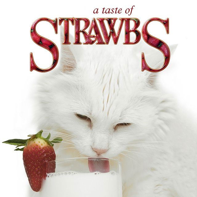 Strawbs profile