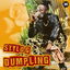 Dumpling cover