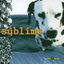 Santeria cover