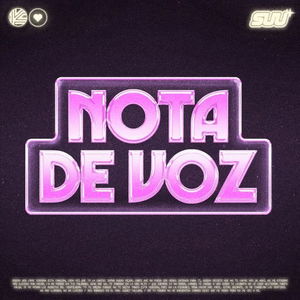 NOTA DE VOZ