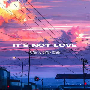 It&#039;s Not Love