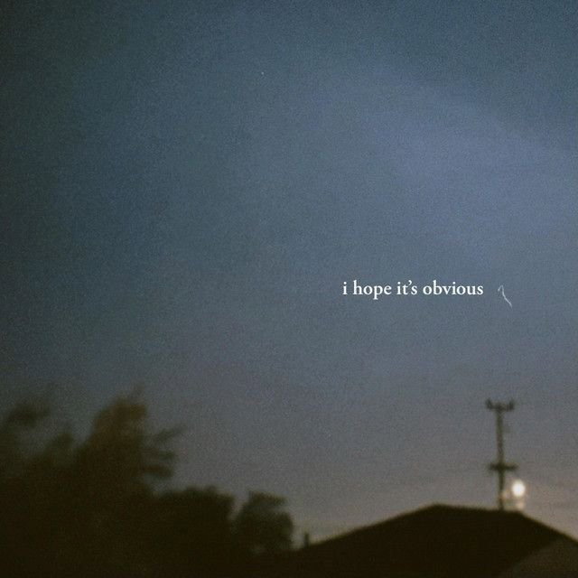i hope it's obvious