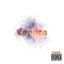 Caption cover