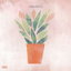 Terracotta (No Limit) cover