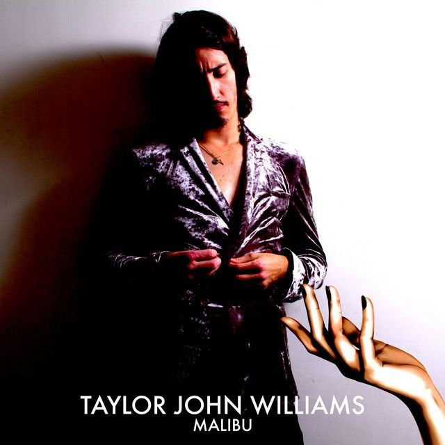 Taylor John Williams profile