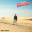 Stupid cover