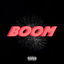 Boom cover