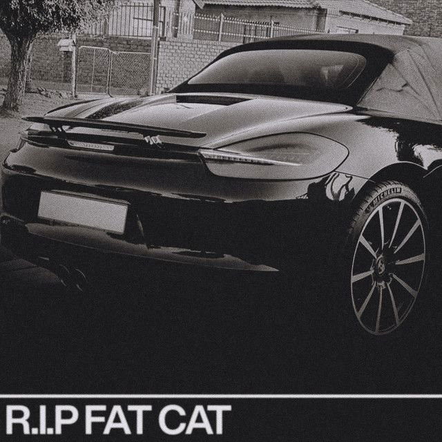 R.I.P. Fat Cat