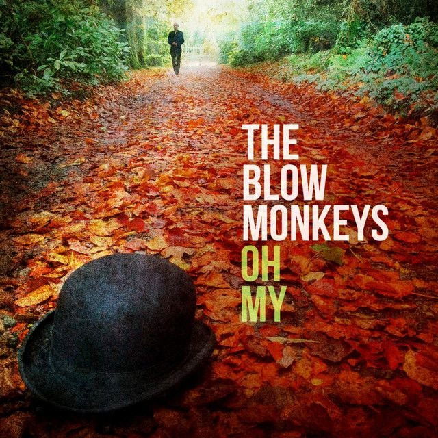 The Blow Monkeys profile