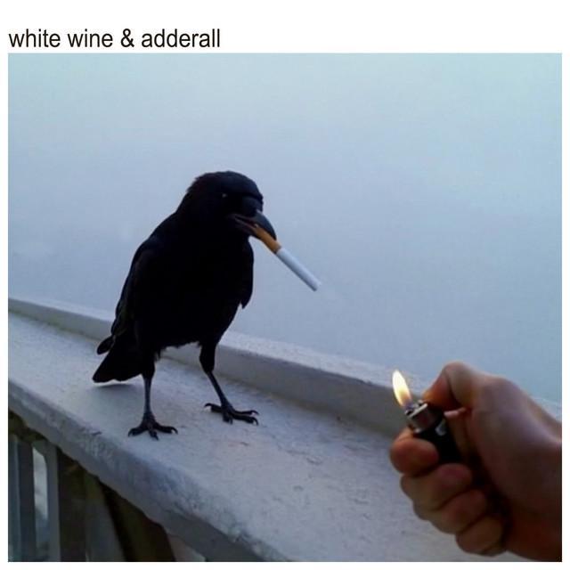 White Wine & Adderall