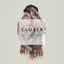 Closer cover