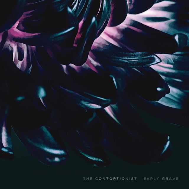 The Contortionist profile