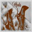 Heels cover