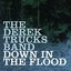 Down In the Flood cover