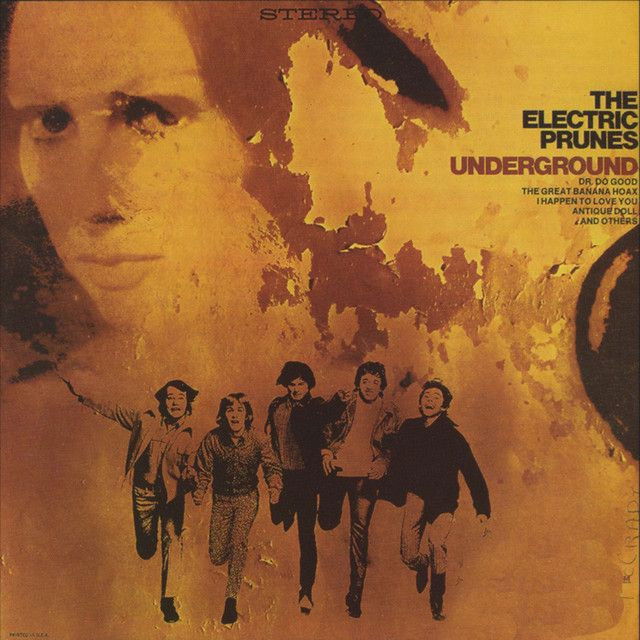 The Electric Prunes profile