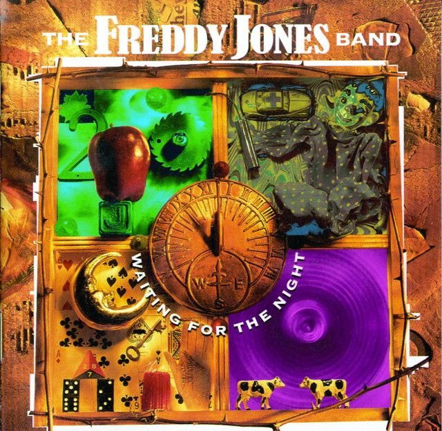 The Freddy Jones Band profile