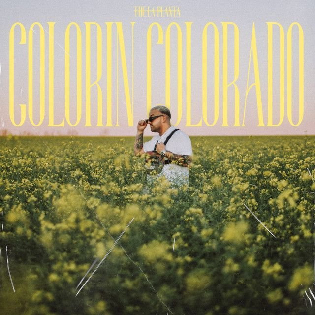 Colorín Colorado