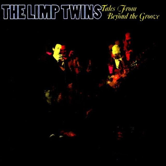 The Limp Twins profile