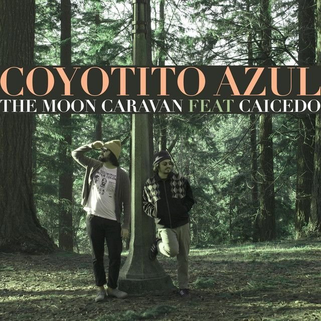 Coyotito Azul