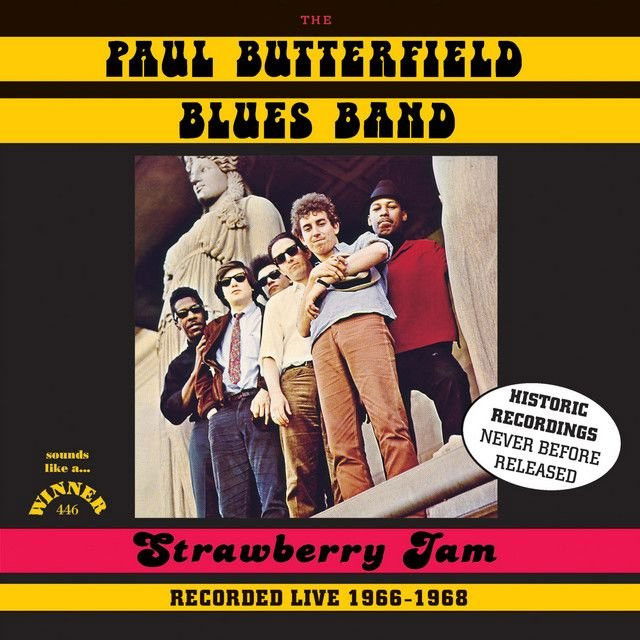 The Paul Butterfield Blues Band profile