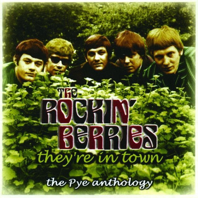 The Rockin’ Berries profile