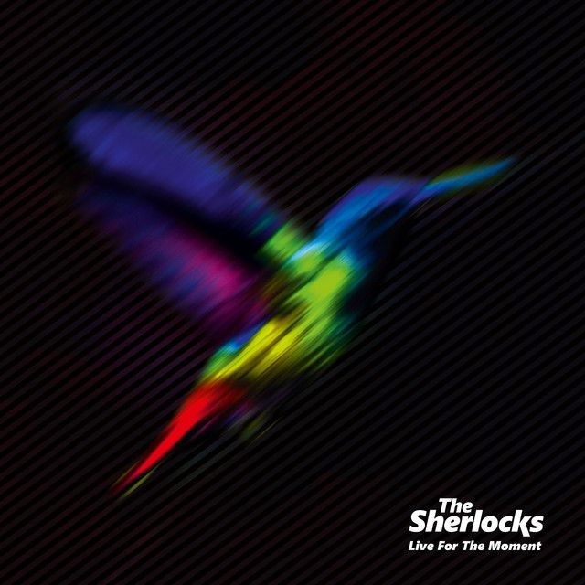 The Sherlocks profile