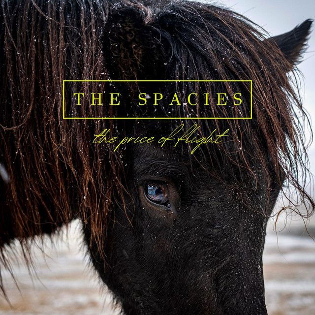 The Spacies profile