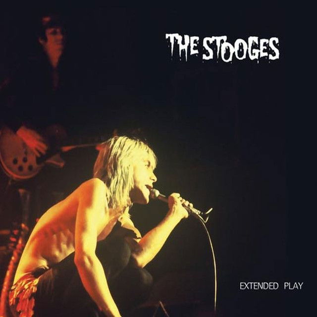 Iggy and The Stooges profile