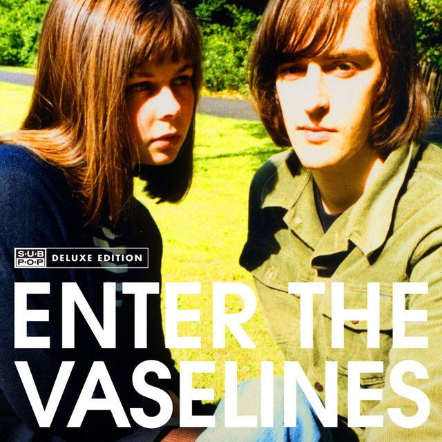 The Vaselines profile