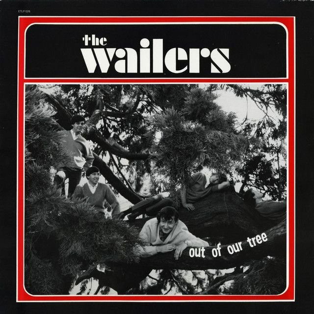 The Wailers profile