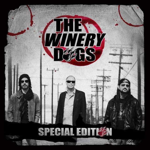 The Winery Dogs profile