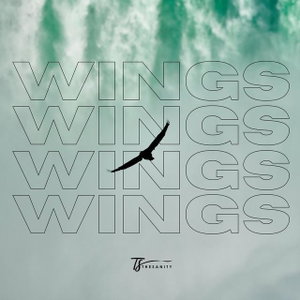 wings