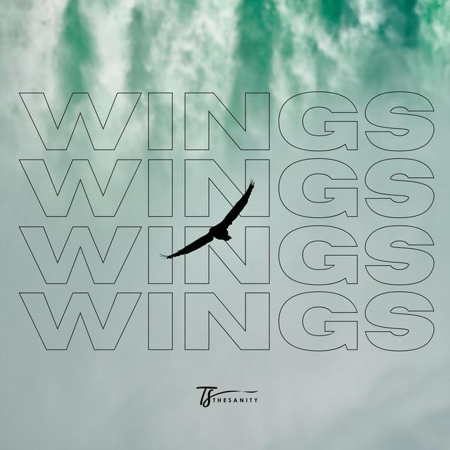 wings