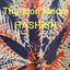 Hashish cover