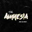 Amnesia cover