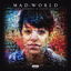 Mad World cover