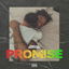 Promise cover