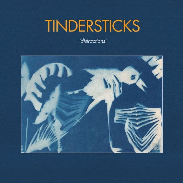 Tindersticks profile