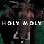 Holy Moly cover