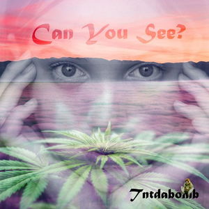 Can You See?